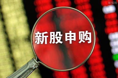 愛威科技今日開啟申購，單一賬戶上限4000股，專注網絡技術軟件研發與銷售