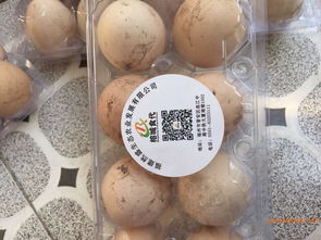 福州性價比高的農副產品供應與配送全攻略