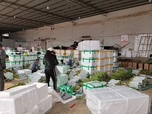 火力全開 紅河州州級以上農業重點龍頭企業100%復工復產，助力農副產品穩產保供