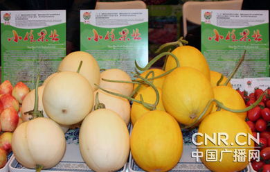 寧夏特色農副產品 資源優化成果贏得全球客商青睞
