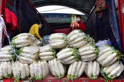 貨足價穩 農副產品市場保障民生無憂