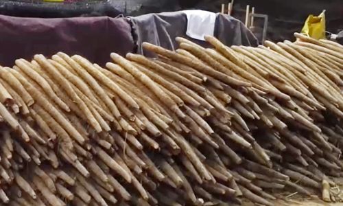 四川春節前農副產品交易繁忙，市民“菜籃子”拎得穩