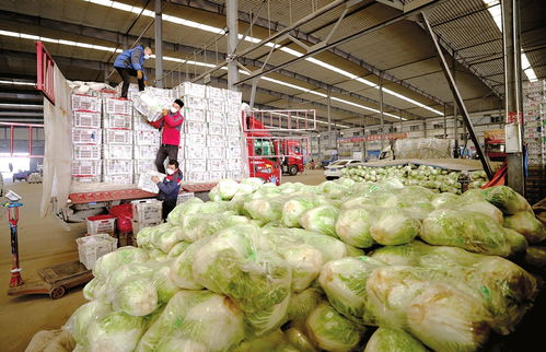 保障“菜籃子” 山西農副產品供應穩定助力民生