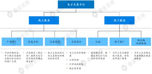 某電商公司戰略規劃項目案例 電子商務平臺的開發建設