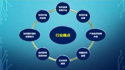 跨境電商經(jīng)營(yíng)管理研修項(xiàng)目中的電子商務(wù)平臺(tái)開(kāi)發(fā)建設(shè)